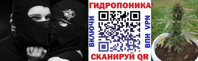 Купить закладки  Сорск  Конопля тримм 